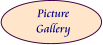 Picture Gallery