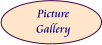 Picture Gallery