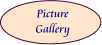 Picture Gallery