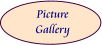 Picture Gallery